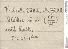Etiketten zu Gold (NHMW-MIN-Ai703)